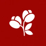 Imagem de Coleção Completa