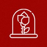 Imagem de Rosa Encantada